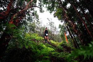 BIB: 
                            <button type="button" onclick="openModal(26201374)" class="btn btn-primary btn-sm float-right btn-popup" data-toggle="modal" data-target=".modal-high-quality">
                        <i class="fas fa-shopping-cart"></i> Add to Cart
                    </button>
                                            <button type="button" onclick="isThisMe(26201374, true)" class="btn btn-success btn-sm float-right btn-popup btn-isme hidden" data-toggle="tooltip" data-placement="bottom" title="นี่คือรูปของคุณใช่ไหม คลิกที่นี่เพื่อเอาเข้าอัลบั้ม">
                        <i class="fas fa-plus"></i> Add to album
                    </button>
                    <button type="button" onclick="isThisMe(26201374, false)" class="btn btn-warning btn-sm float-right btn-popup btn-isnotme hidden">
                        <i class="fas fa-ban"></i> Remove from album
                    </button>